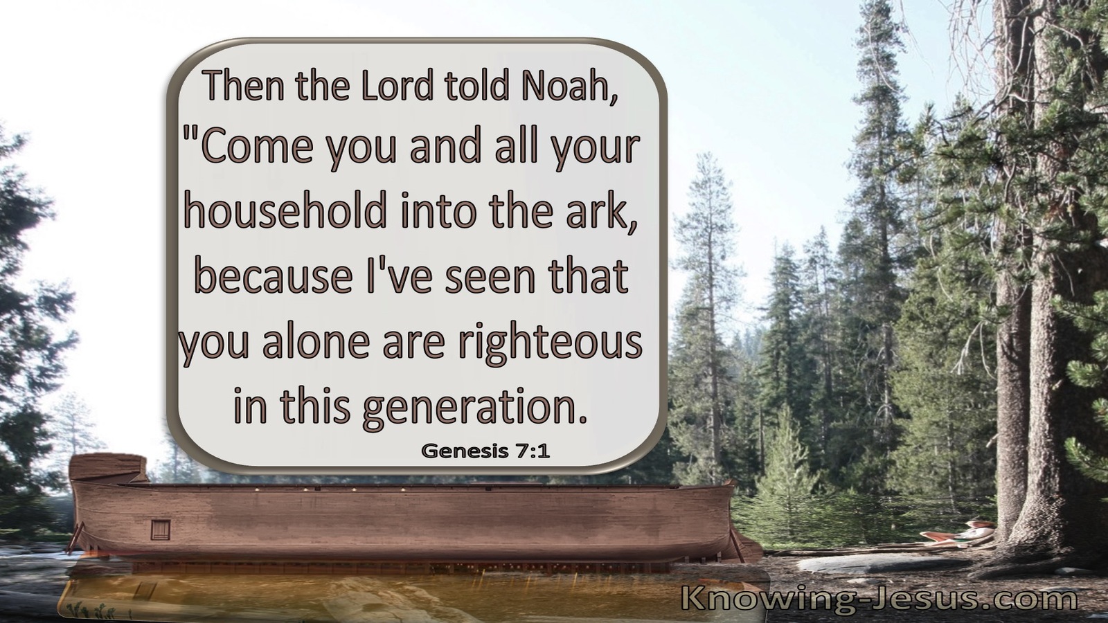 Genesis 7:1 Come Into The Ark Noah : You And Your Family (brown)